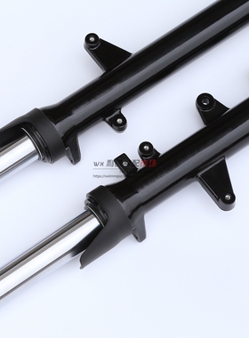 适用GW250/-A骊驰前减震 GW250F/S版 GW25O0J-H前减震前叉前避震