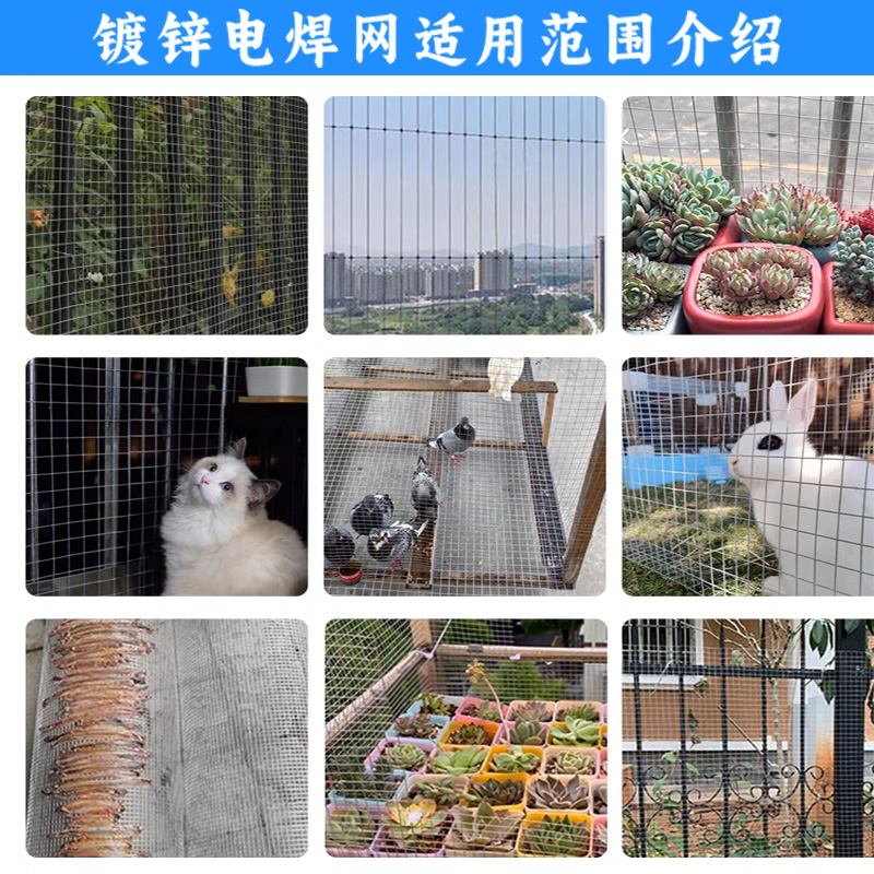 镀锌电焊网铁丝隔离网养殖围栏y养鸡鸭果园圈地鸽兔笼防鼠防蛇围