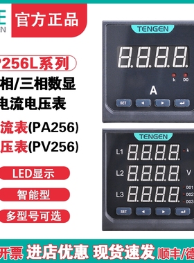 天正TENGEN三相多功能P256L液晶485数显电流电压组合表电力仪表