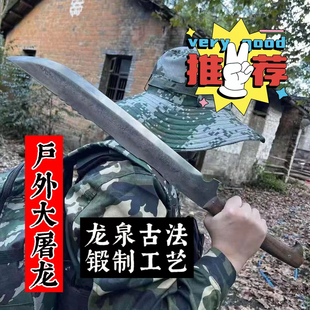 野外防身一体刀剑荒野求生长短刀高锰钢锻打唐横刀车载兵器未开刃