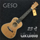 ukulele 高端品牌 23寸 乌克丽丽 GESO 封闭旋钮 尤克里里