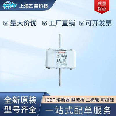 巴斯曼熔断器170M6266170M6267170M6268170M6269170M6270