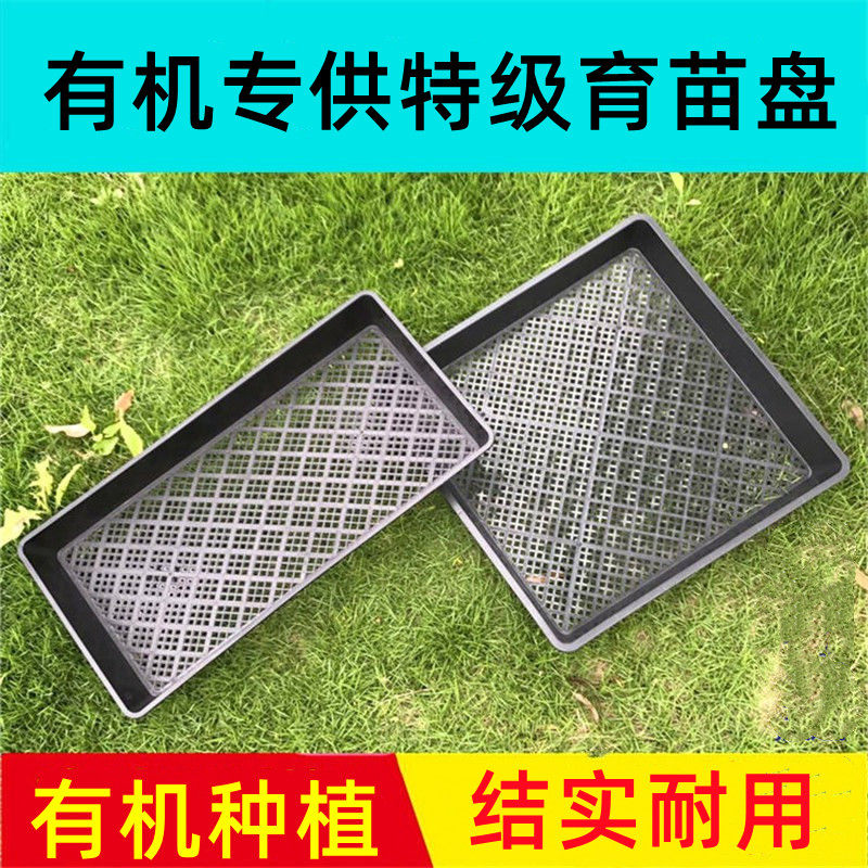 芽菜盘育苗盆育苗盘育水稻育秧盘芽苗菜盘塑料正方盘玛咖盘长方盘