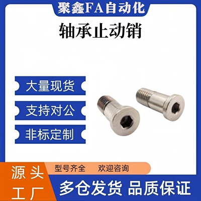 BGP BGPM 6 8 10-9 11 13 14 17-L20 L25 L30 L40 L50 轴承止动销