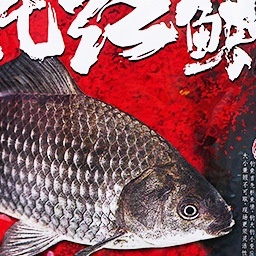 不空军化氏鱼饵料谷物香野钓鱼钢蛋2通杀华氏腥香4号鲫 6#鲫鱼食