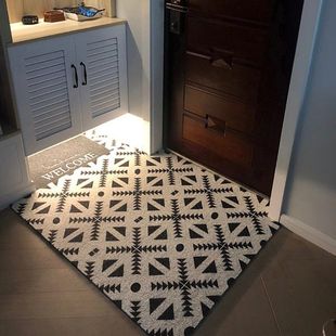 轻奢入户门地垫丝圈进门脚垫防滑大门口门内门垫蹭灰可裁剪