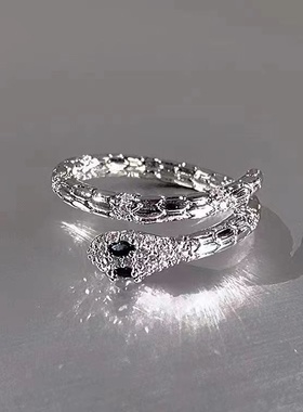 2025新款灵蛇设计高级情侣对戒时尚小众个性食指戒指轻奢潮流