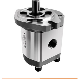 30R F8R F17 F14 F6R F11 RGP液压齿轮泵总成HGP F23