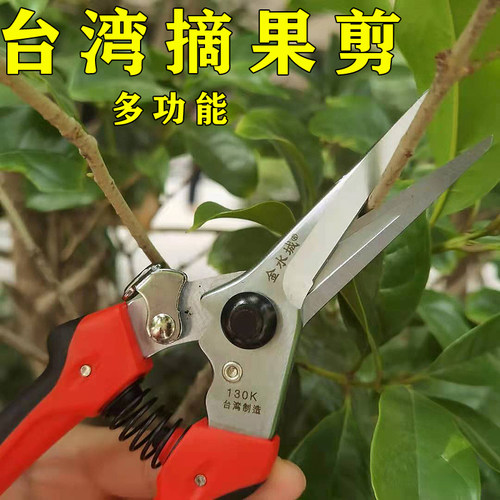 佐川吉782剪刀园艺尖嘴修枝剪 摘果叶芽剪 花枝 插花剪 原装正品