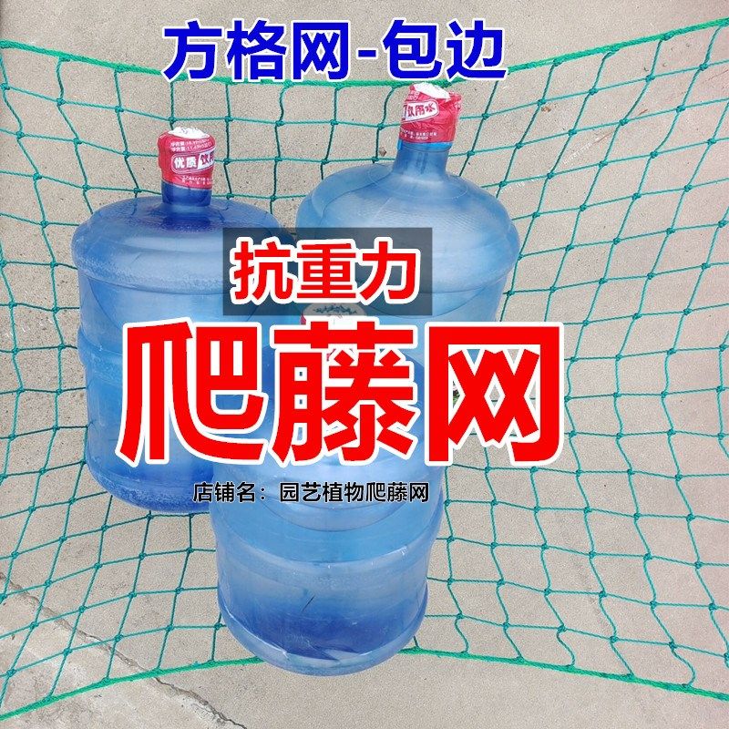 植物爬藤网种植网瓜网花卉葡萄豆角豌豆丝瓜百香果搭架园艺攀爬网,珠宝/钻石/翡翠,翡翠裸石/蛋面,淘宝优惠券,粉丝福利购,淘宝优惠卷