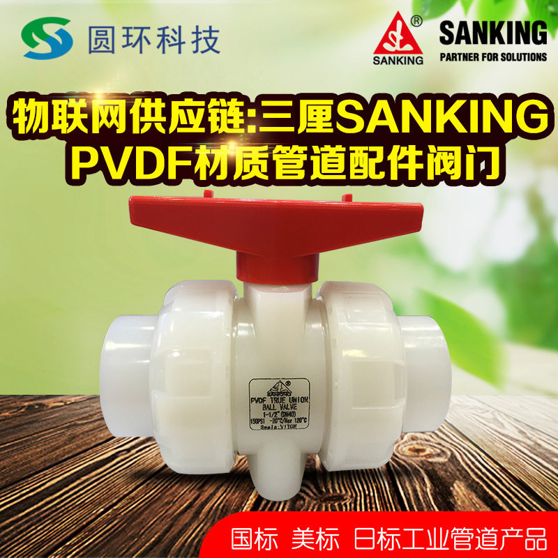 SANKING三厘PVDF活接球阀由令