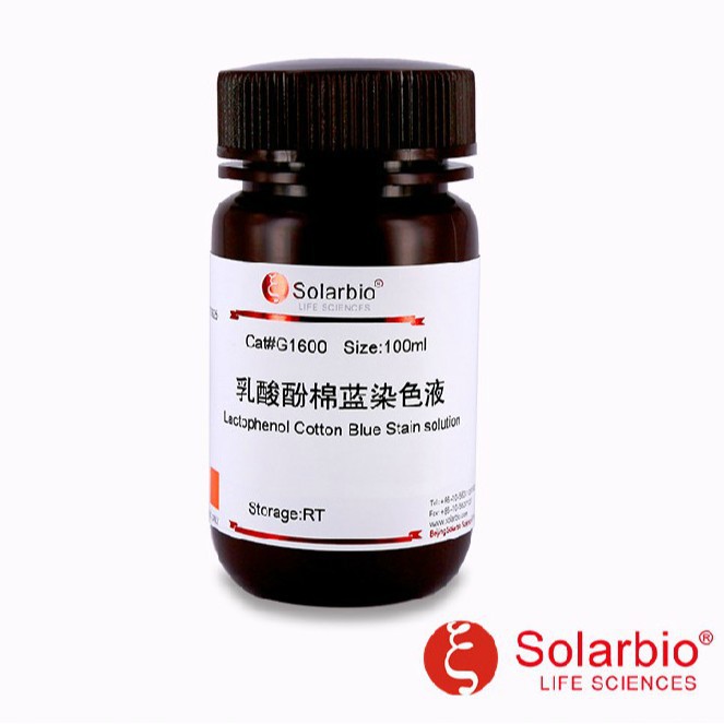 G1600 乳酸酚棉蓝染色液 乳酸酚棉蓝 索莱宝 科研用