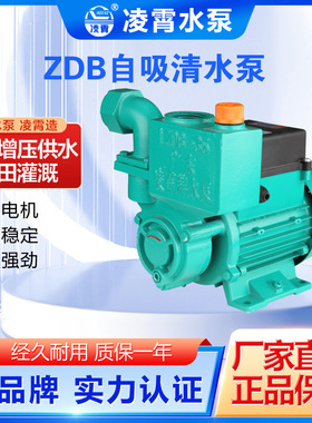 1DB-65B 1ZDB-45B广东凌霄自吸泵增压泵灌溉泵井水泵汽车喷洗泵
