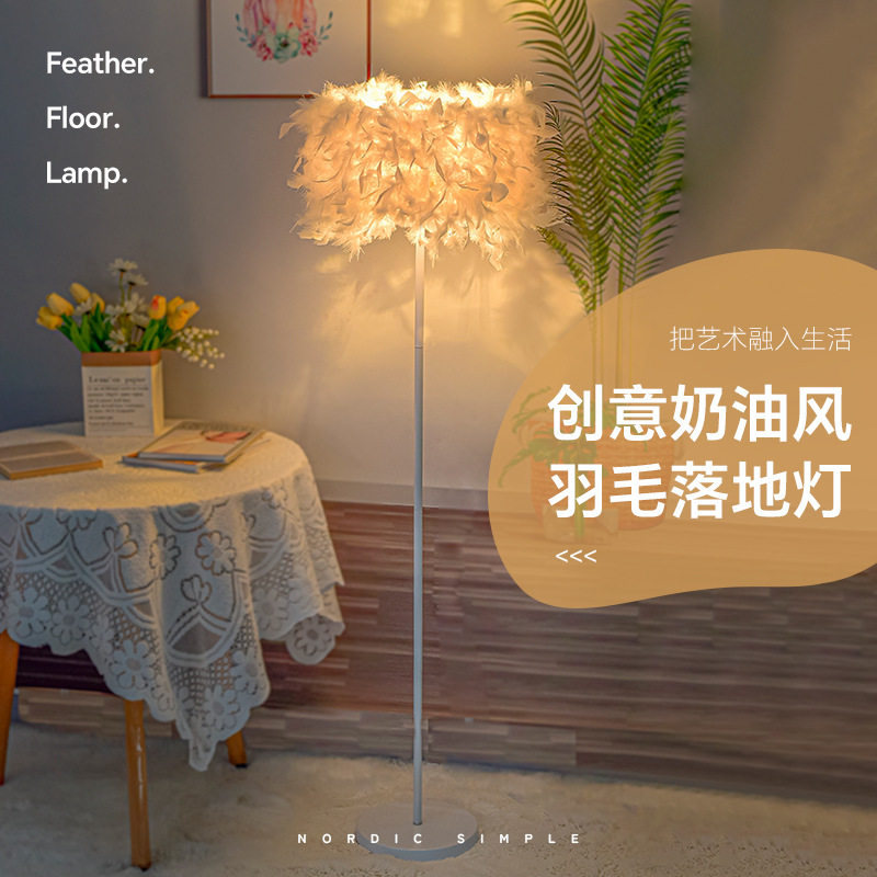 北欧ins羽毛LED落地灯网红补光