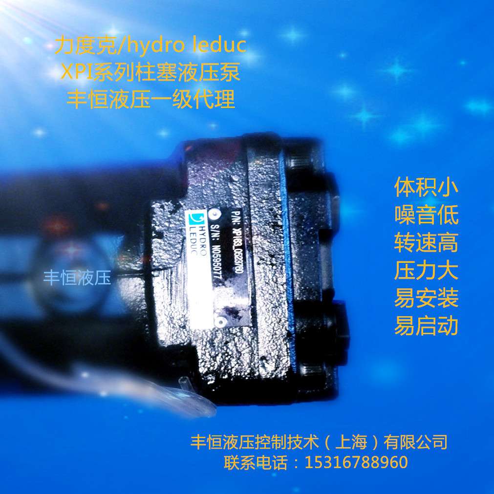 液压站 液压控制系统用力度克leduc液压泵 高压XPI系列柱塞泵便宜