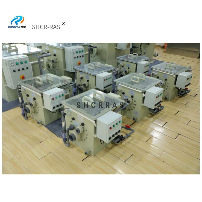 水产养殖转鼓微滤机水产养殖箱式自动反冲洗锦鲤鱼池过滤