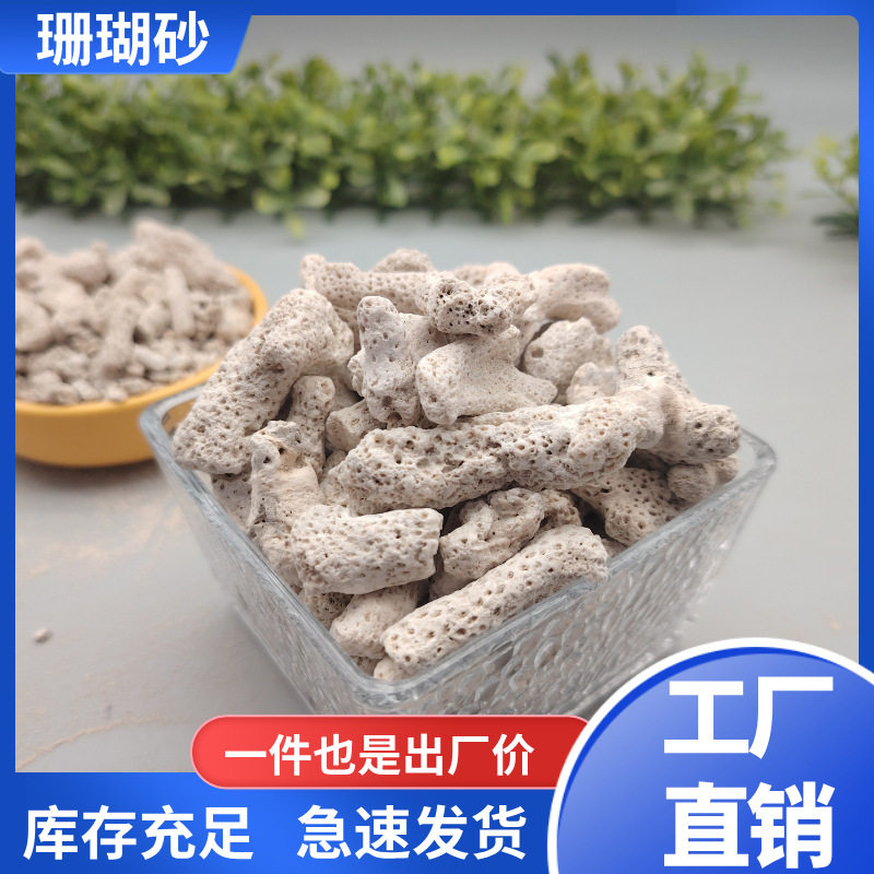 工厂供应珊瑚砂珊瑚骨鱼缸过滤水产养殖污水处理用珊瑚砂现货批发图片