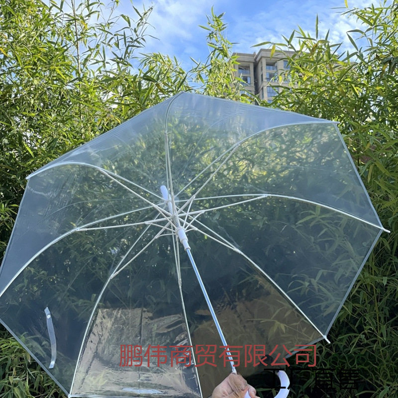强抗风男女加大纯透明雨伞 自动长柄双人用大伞情侣透明伞