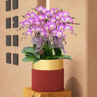 中式蝴蝶兰花盆冬青银柳年宵花插花盆轻奢铁艺花篮花器福盆福桶花