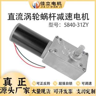 5840 31ZY直流涡轮蜗杆减速电机大扭矩12v24v微小型调速低速马达