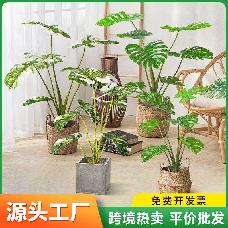 仿真植物手感过胶龟背叶盆栽室内装饰道具造景白锦龟背全绿龟背