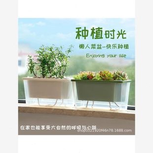 盆植霍伦台草莓种专用种菜盆家庭阳台长方形神器箱塑料花盆窗长条