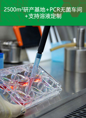 10DNA上样缓冲液 10DNA Loading Buffer 10mL 核酸电泳实验