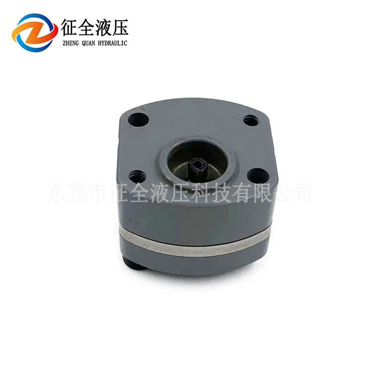 征全无人航拍飞机齿轮泵小型微型飞机燃油泵低压泵电动机系统油泵