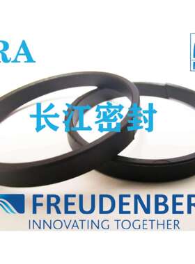 德国Merkel导向环 FRA 型 进口油缸导向环180-175-14.8