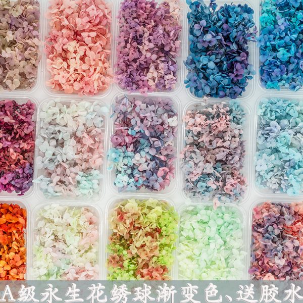 花艺色渐变干花脸婚鞋永生花手工diy材料包贴绣球活动玻璃罩团建