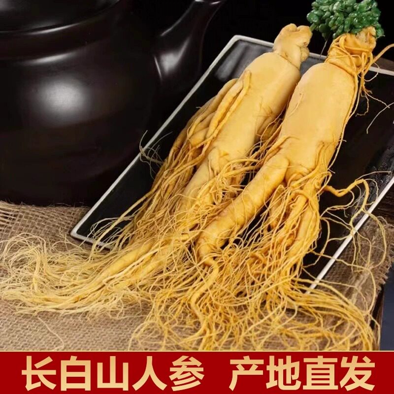人参泡酒专用东北保鲜参吉林长白山白参中药材煲汤非野山参新鲜