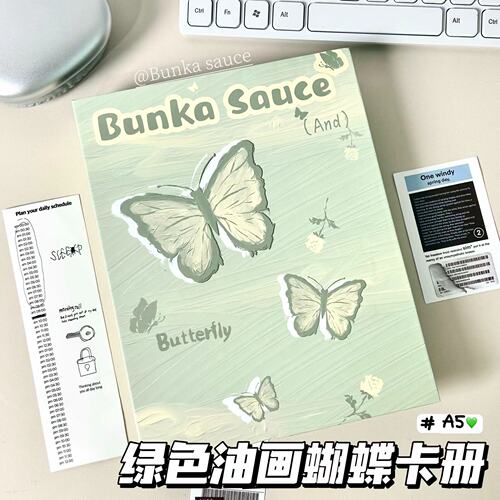 小红书同款绿色油画蝴蝶卡册收纳
