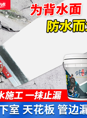 背水面负压防水涂料室内墙面地面专用材料屋顶防霉防潮渗透补漏压