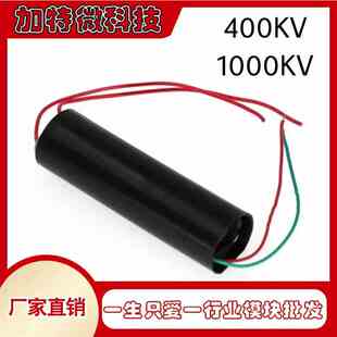 高压发生器 高压模块 压逆变器 变压器升压模块3-6V 400KV 1000KV