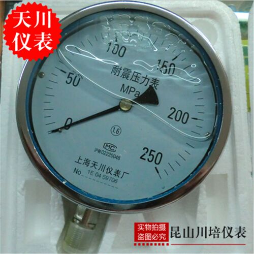 超高压耐震压力表上海天川仪表0-100,160,250MPAYN-100 YN-150