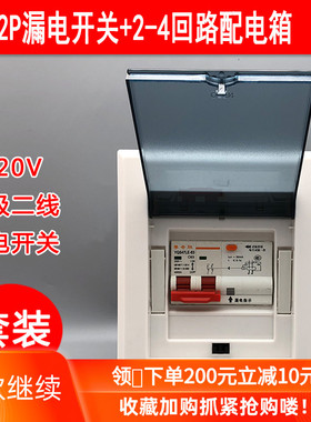 2P63A漏电开关配电箱套装照明家用电开关暗装强电箱明装充电桩盒