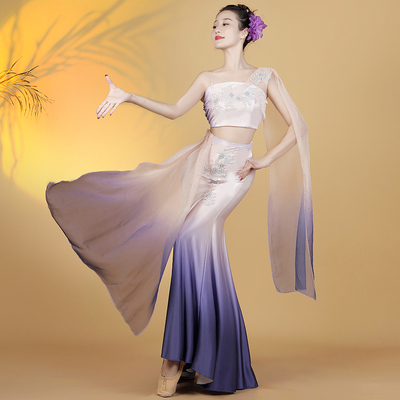 快速发货傣族舞蹈服装女新款成人独舞演出服艺考剧目西.双版纳半