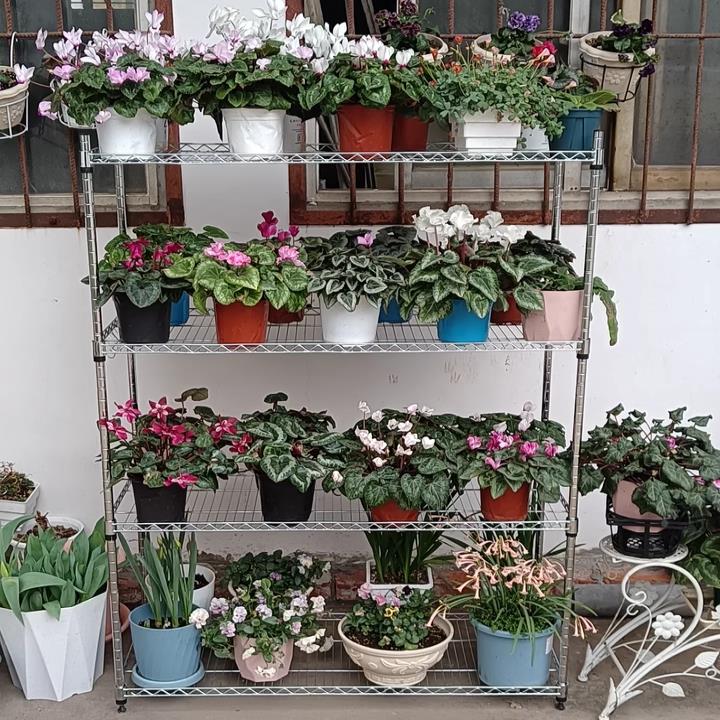 架货架空不锈钢色置物架格厨房收纳落BAL地网花架镂多功能金属架