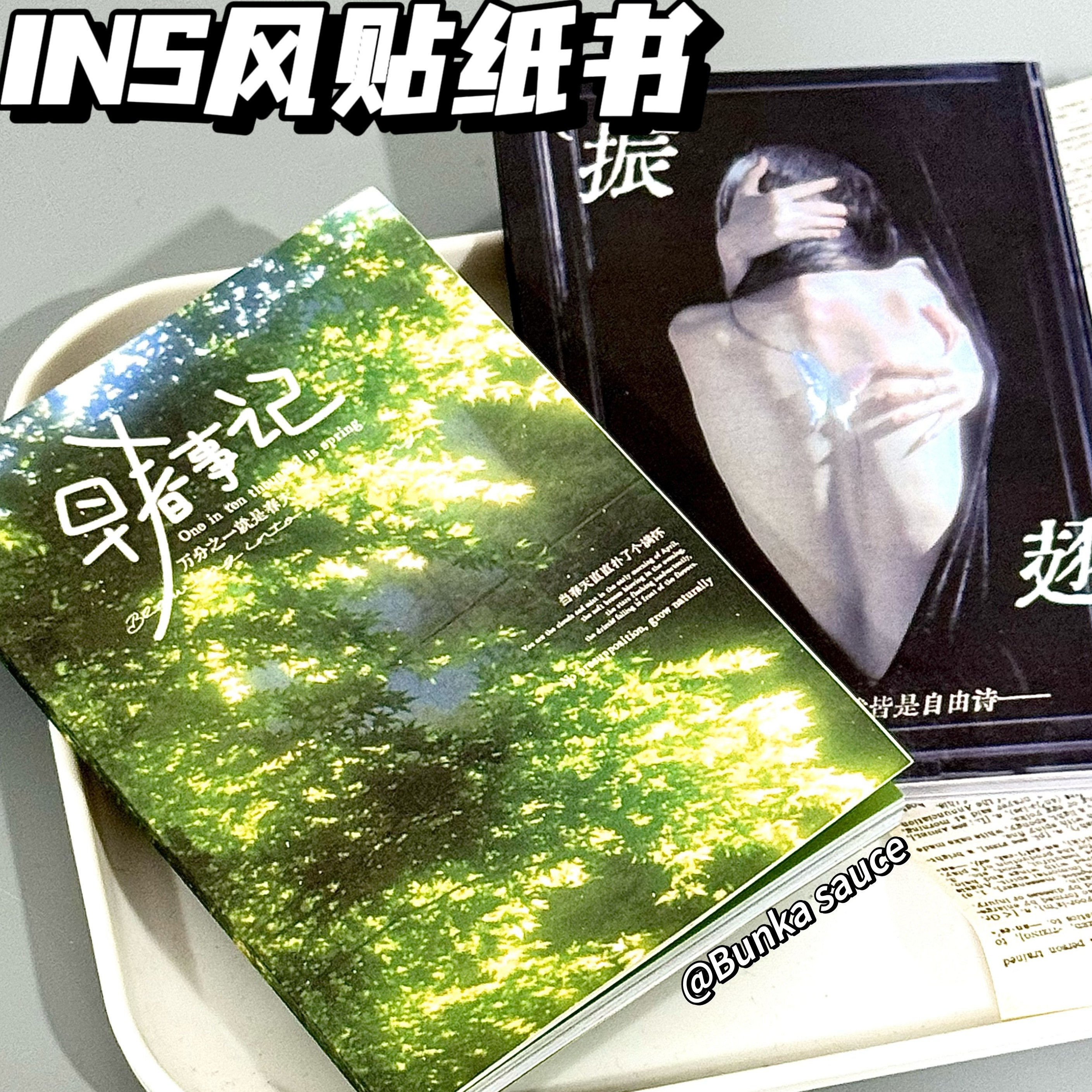 ins风贴纸书超高清贴纸切膜精湛