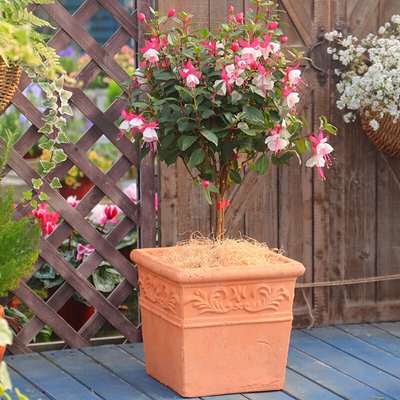 厚实款红陶蔓叶方形花盆复古做旧欧美风花器花园庭院耐用透气口22