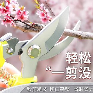 强力树枝园艺剪刀果树粗花摘刀花艺剪果家用枝神器园林修枝剪剪子