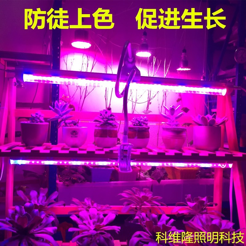 红蓝led植物生长灯全光谱w多肉补光上色育苗蔬菜防徒家用组培实验