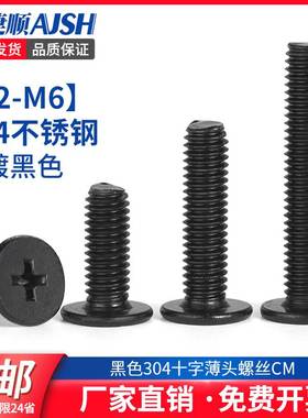 SZ黑色304不锈钢十字超薄头螺丝CM大扁平头电脑机螺钉M2.M3M4M5M6