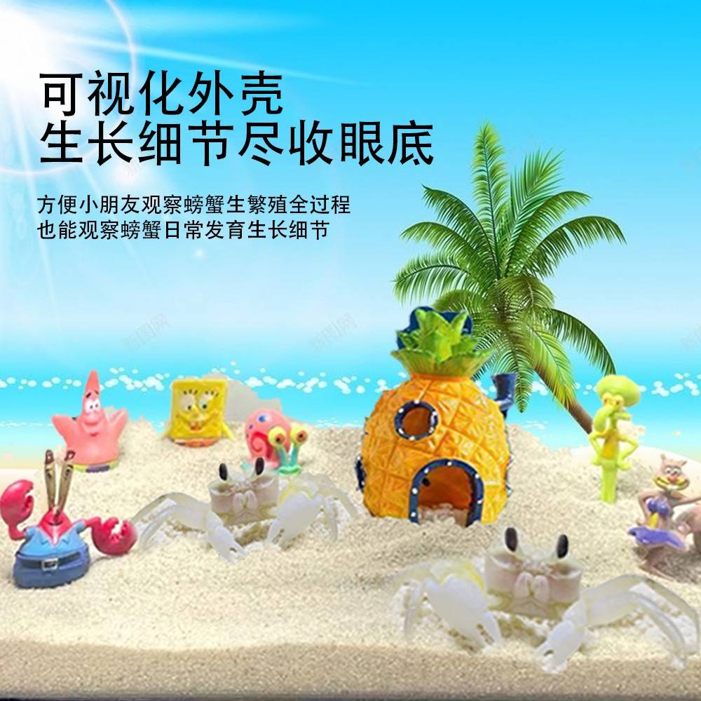 宠物宠大眼睛易巧爱物可蟹温乖62976干人不夹懒顺蟹桌人宠养净