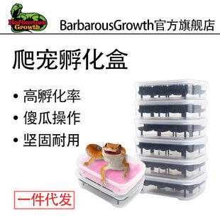 乌龟孵化盒南石蛋无介质孵化盆水陆龟石龟爬宠蜥蜴蛇蛋防抖孵化器