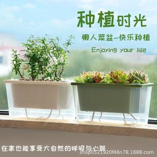 草莓种专用长方形长条盆神器霍伦家庭阳台箱塑料花盆种菜盆台窗植