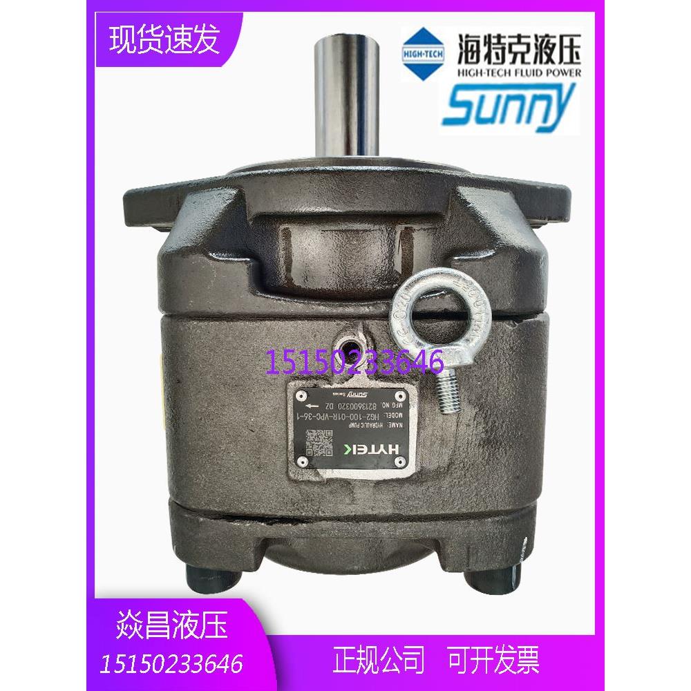 海特克内啮合齿轮泵HG2-80/100/125/160-01R-VPC SUNNY伺服油泵