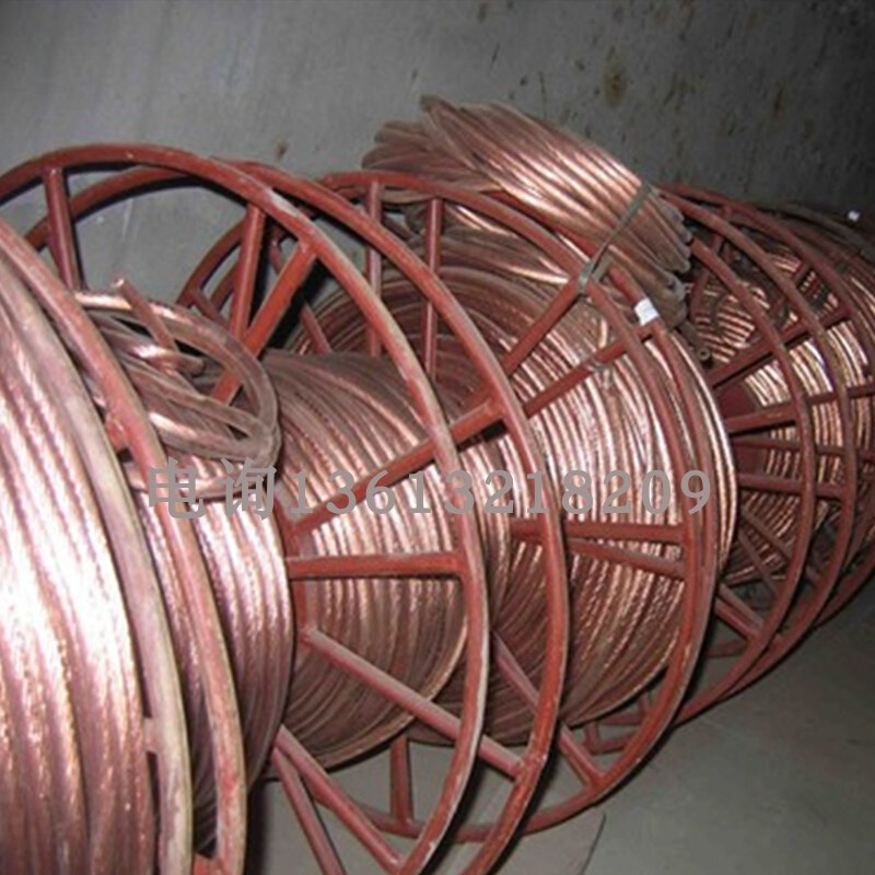 。25平方包塑铜线接地线国标铜线带铜鼻子3米长S好导线测试线避雷