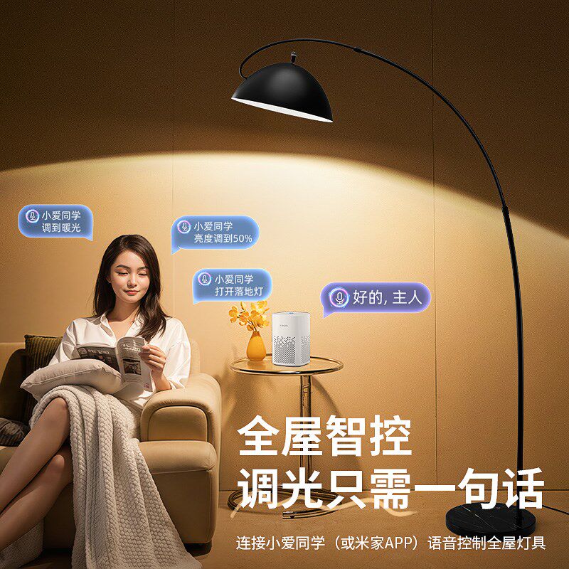 装饰落地灯客厅沙发旁边钓鱼阅读床头台灯氛围感轻奢高级现代简约