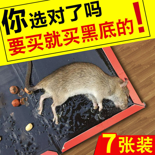 。老鼠贴超强力粘鼠板鼠毯粘老鼠纸黏鼠板超强老鼠夹捕鼠器家用耗